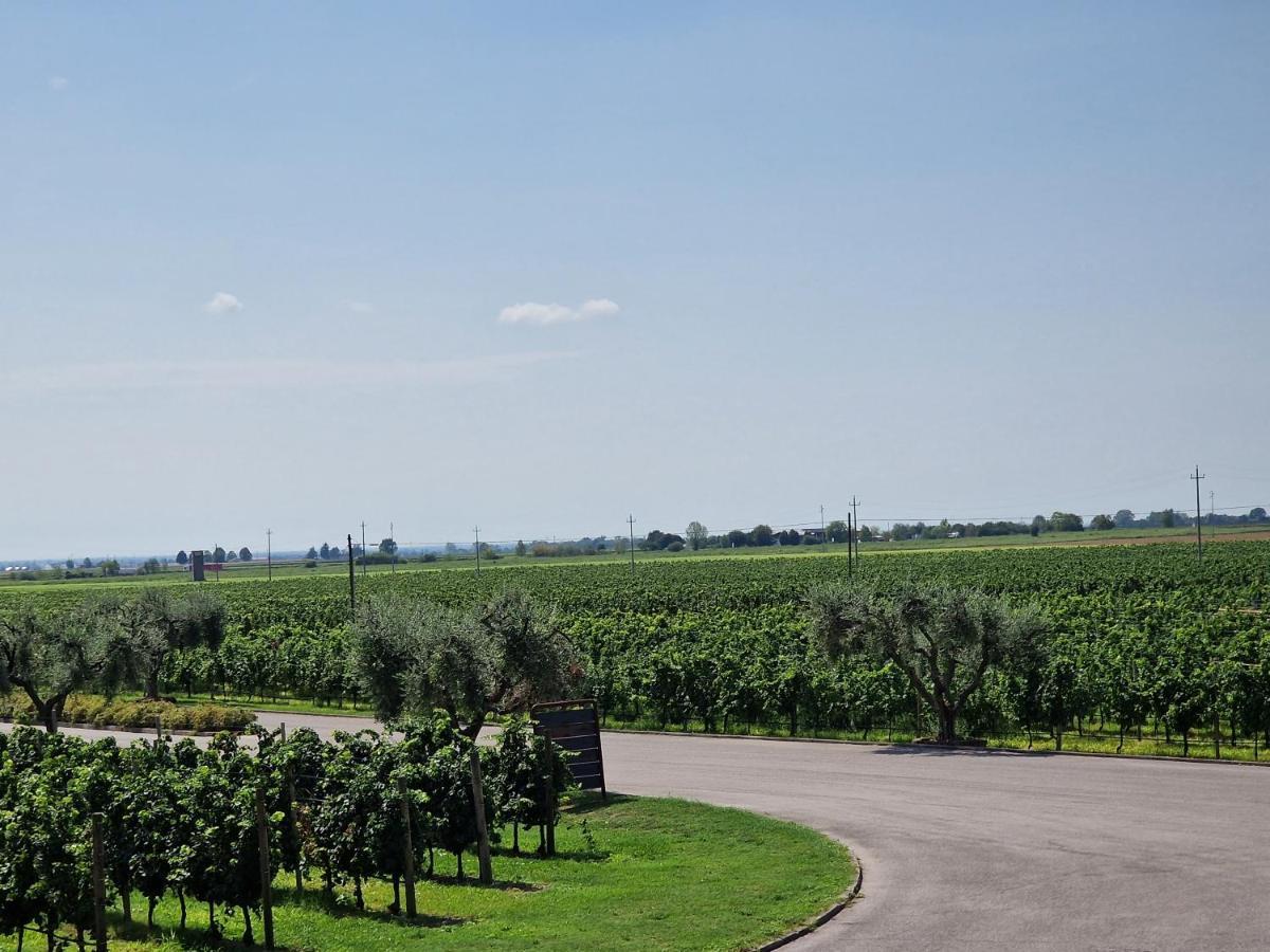 B&B Borgo Tesis Spilimbergo Zewnętrze zdjęcie