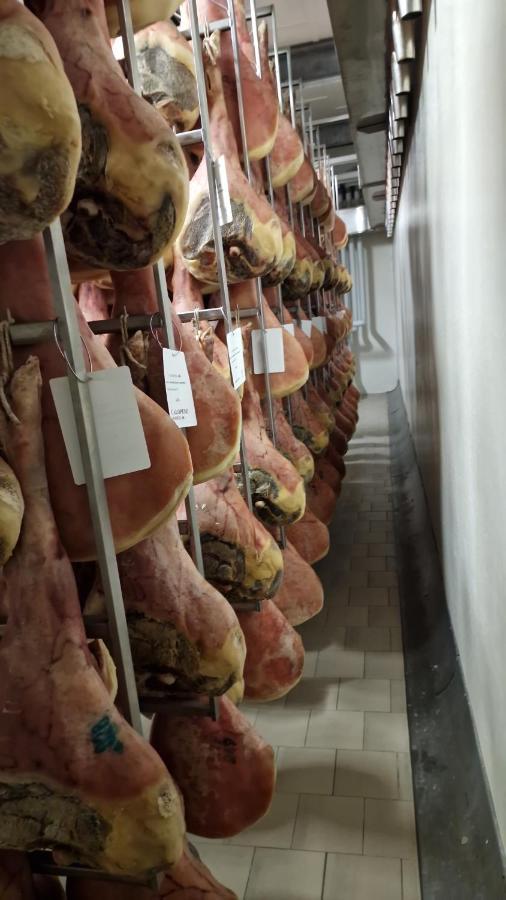 B&B Borgo Tesis Spilimbergo Zewnętrze zdjęcie
